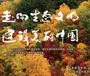 ���������B�������O